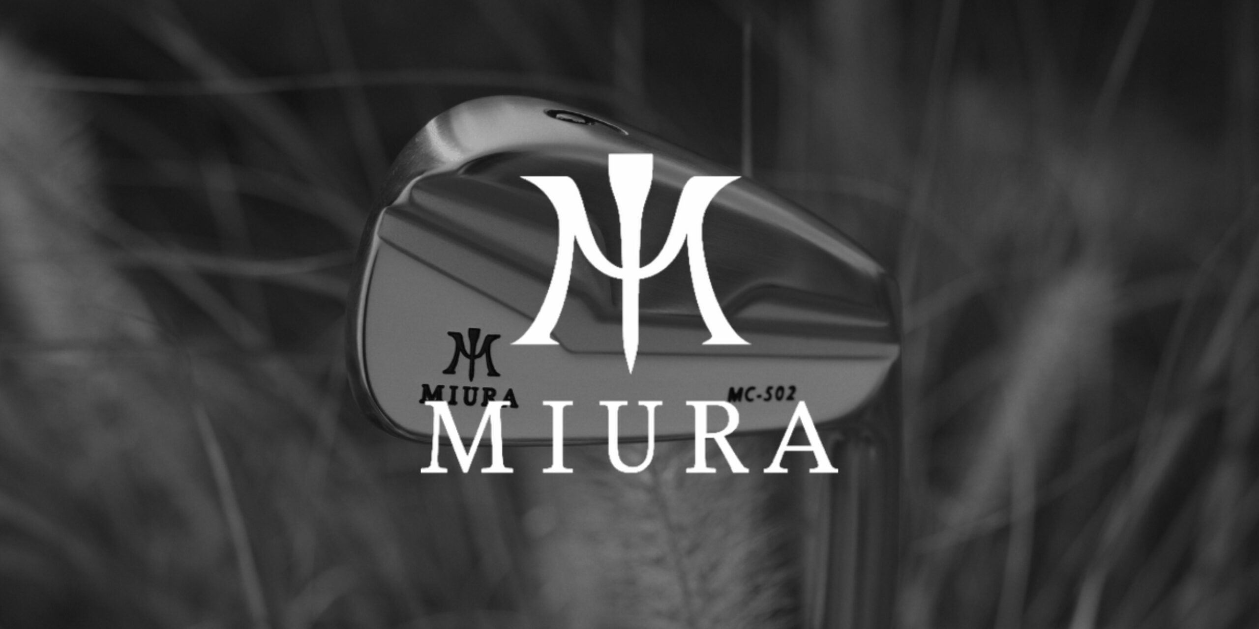 Du betrachtest gerade Miura