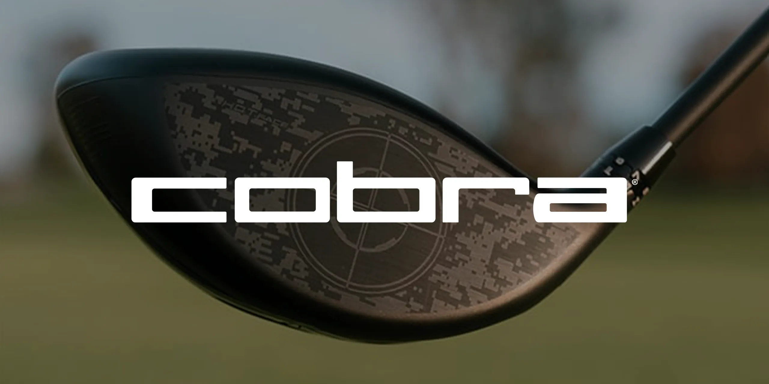 Du betrachtest gerade Cobra